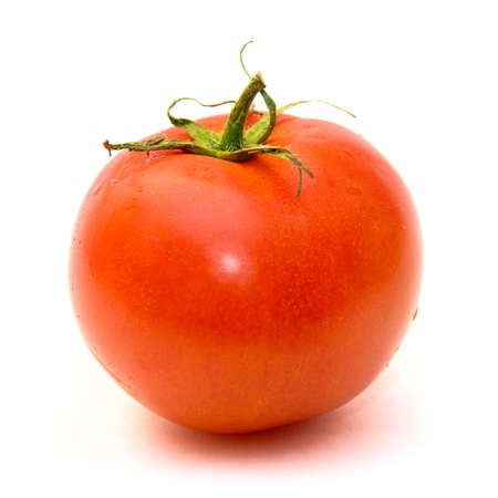 fresh tomatoの写真素材