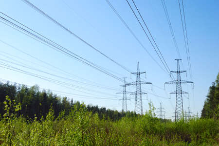 power lines in forestの写真素材