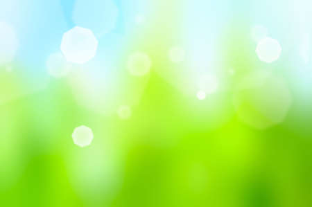 fresh wet grass in sun rays, closeup
の写真素材
