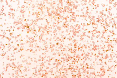 closeup of red shower gel structureの写真素材