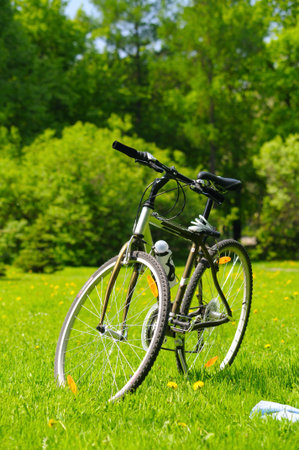 bicycle at sunny parkの写真素材