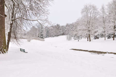 winter park, Pavlovsk, Saint-Petersburg, Russiaの写真素材