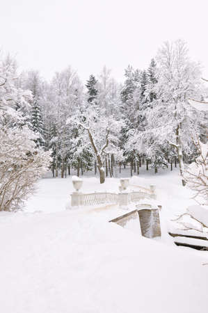 winter park, Pavlovsk, Saint-Petersburg, Russiaの写真素材