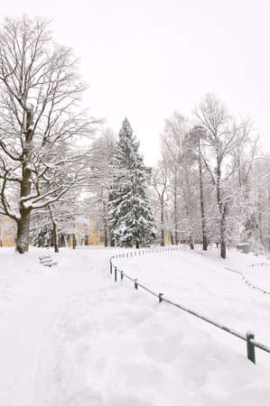 winter park, Pavlovsk, Saint-Petersburg, Russiaの写真素材