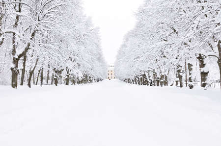 winter park, Pavlovsk, Saint-Petersburg, Russiaの写真素材