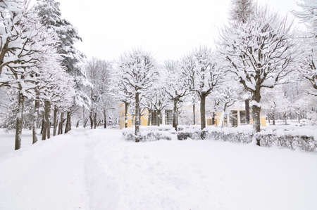 winter park, Pavlovsk, Saint-Petersburg, Russiaの写真素材