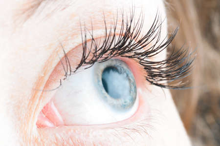female eyeの写真素材