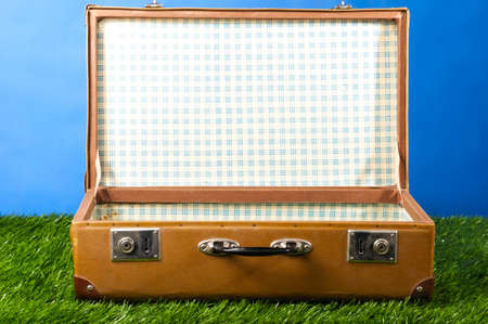 suitcase on grassの写真素材