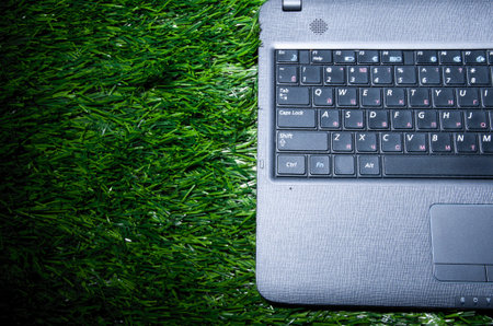 closeup view of modern laptop on grass outdoors
