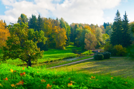 beautiful autumn parkの写真素材