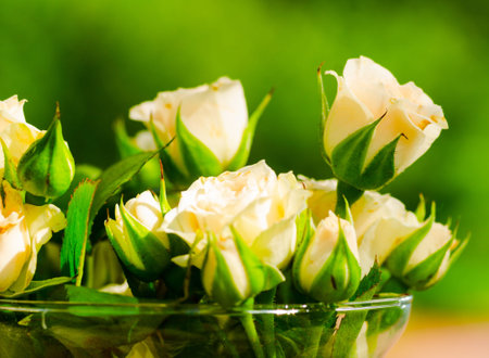 roses in jarの写真素材