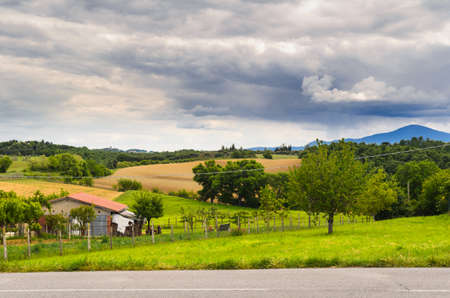 Tuscany landscape view, Toscana, Italyの写真素材