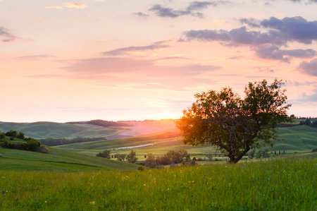 sunset Tuscany landscape, Toscana, Italyの写真素材