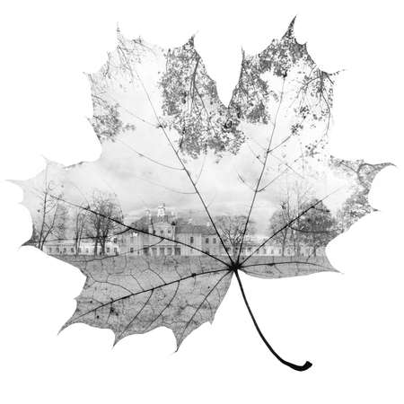 autumn maple leaf mixed with trees and sky, double exposure photoの写真素材
