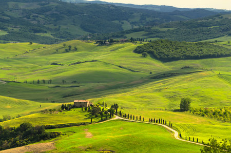 landscape view of Tuscany, Italyの写真素材