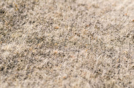 detailed texture of a wool fabric, shallow dofの写真素材