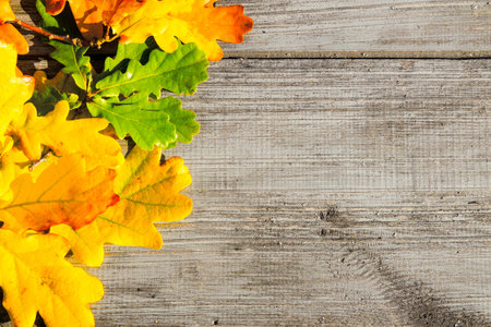 Green, yellow and red autumn leaves on a wooden table.