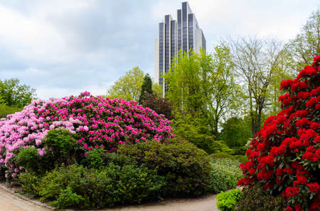 street view of Hamburg, Germanyの写真素材