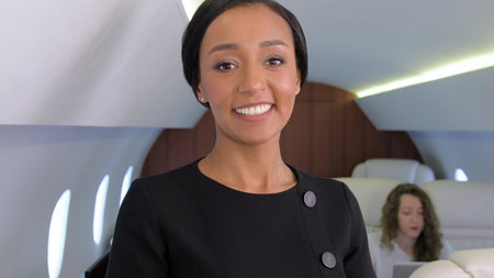 Biracial businesswoman in private jet. Well dressed, confident female african entrepreneur smiling...