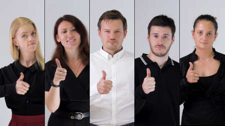 Business team likes and showing thumbs up.の写真素材
