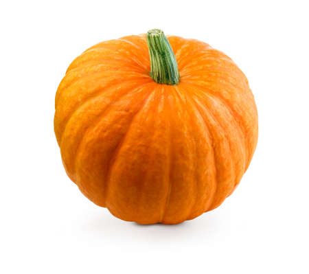 Fresh pumpkin isolated. Organic orange pumpkin on white background.の写真素材