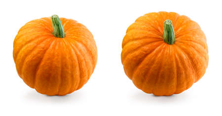 Fresh pumpkins isolated. Two organic orange pumpkins on white background.の写真素材