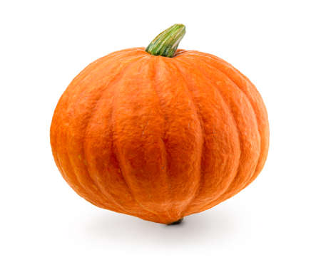Fresh pumpkin isolated. Organic orange pumpkin on white background.の写真素材