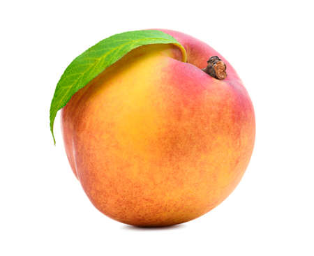 Fresh peach isolated. Organic nectarine or peach with green leaf on white background.の写真素材