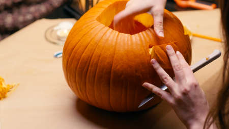 Woman carving Jack O Lantern pumpkin for Halloweenの写真素材
