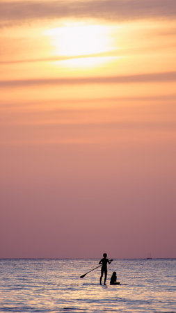 Stand Up Paddling. Silhouette at sunset.