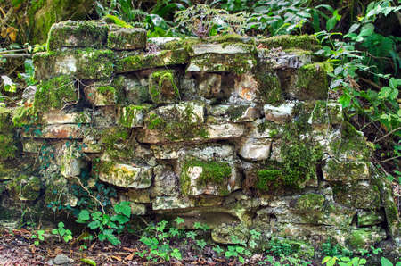 Green moss on the ancient brick of the ruinsの写真素材