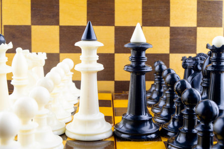 chess pieces stand opposite each other, kings in the center