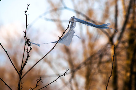 concept - nature conservation and plastic rejection, environmental problems. a piece of plastic bag...