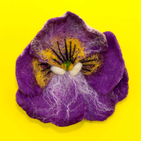 handmade felt, flowers, purple iris flower on a yellow backgroundの写真素材