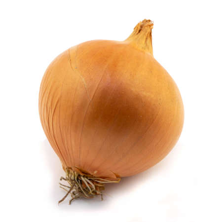 one onion bulb isolated on a white backgroundの写真素材