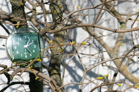 the transition to summer time, the arrival of spring, the clock on the background of branches with blooming buds on a bright sunny spring day, a place for the inscriptionの写真素材