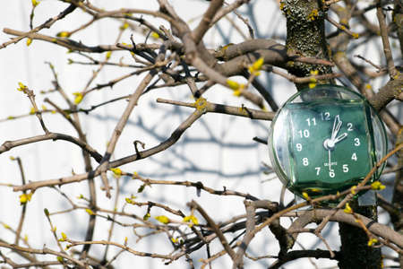 the transition to summer time, the arrival of spring, the clock on the background of branches with blooming buds on a bright sunny spring day, a place for the inscriptionの写真素材