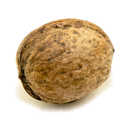 Walnut isolated on a white background. close-upの写真素材