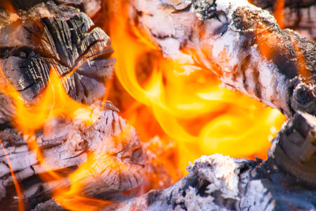 firewood burning on the brazier brazier, fire, coals, background