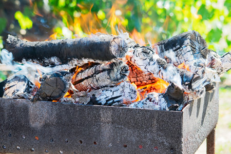 firewood burning on the brazier brazier, fire, coals, background