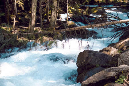 the water of a stormy mountain river flowing among stones and bouldersの写真素材