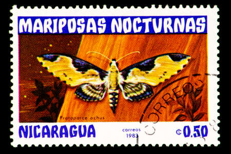 07.24.2019 Divnoe Stavropol Territory Russia Postage stamp Nicaragua 1983 year Series Night butterflies mariposas nocturnas protoparce ochus, butterfly on an orange backgroundのeditorial素材