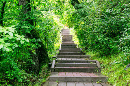 up stairs in the mountains in the forest