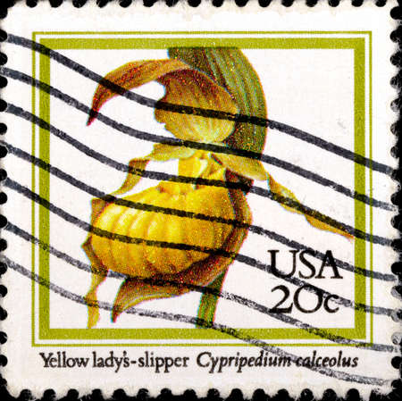 02.09.2020 Divnoe Stavropol Territory Russia postage stamp USA 1984 Orchids Cypripedium calceolus - Yellow Lady's-slipper Orchid flower on a white backgroundのeditorial素材