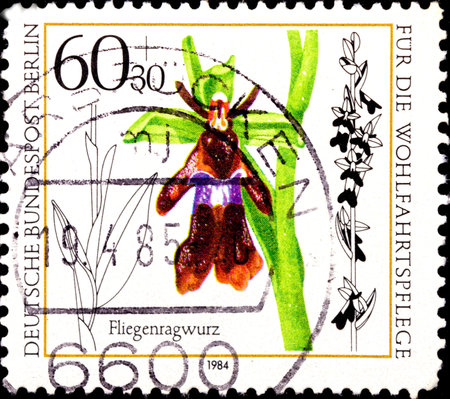 02 08 2020 Divnoe Stavropol Territory Russia postage stamp Germany 1984 Charity Stamps - Orchids orchid-fly flower on a stemのeditorial素材