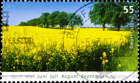 02 10 2020 Divnoe Stavropol Territory Russia postage stamp Germany 2006 Summer Seasons Trees wildflowers Landscapeのeditorial素材
