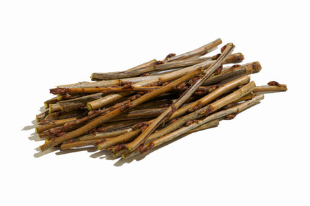 cut currant twigs close-up on a white background. High quality photo