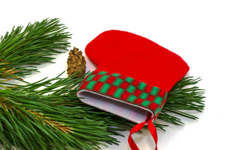 pine branch pine cone and santa claus stocking on a white background. High quality photoの写真素材