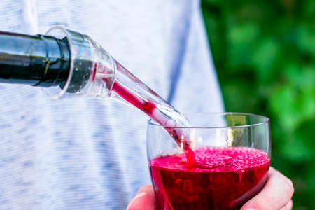 the winemaker pours wine from a bottle into a glass through an aerator against the background of grape bushes. High quality photoの写真素材