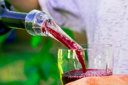 the winemaker pours wine from a bottle into a glass through an aerator against the background of grape bushes. High quality photoの写真素材